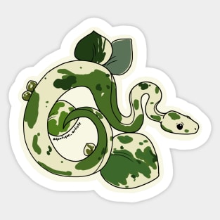 peperomia ball python Sticker